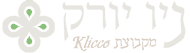 המדריך למטייל בניו יורק